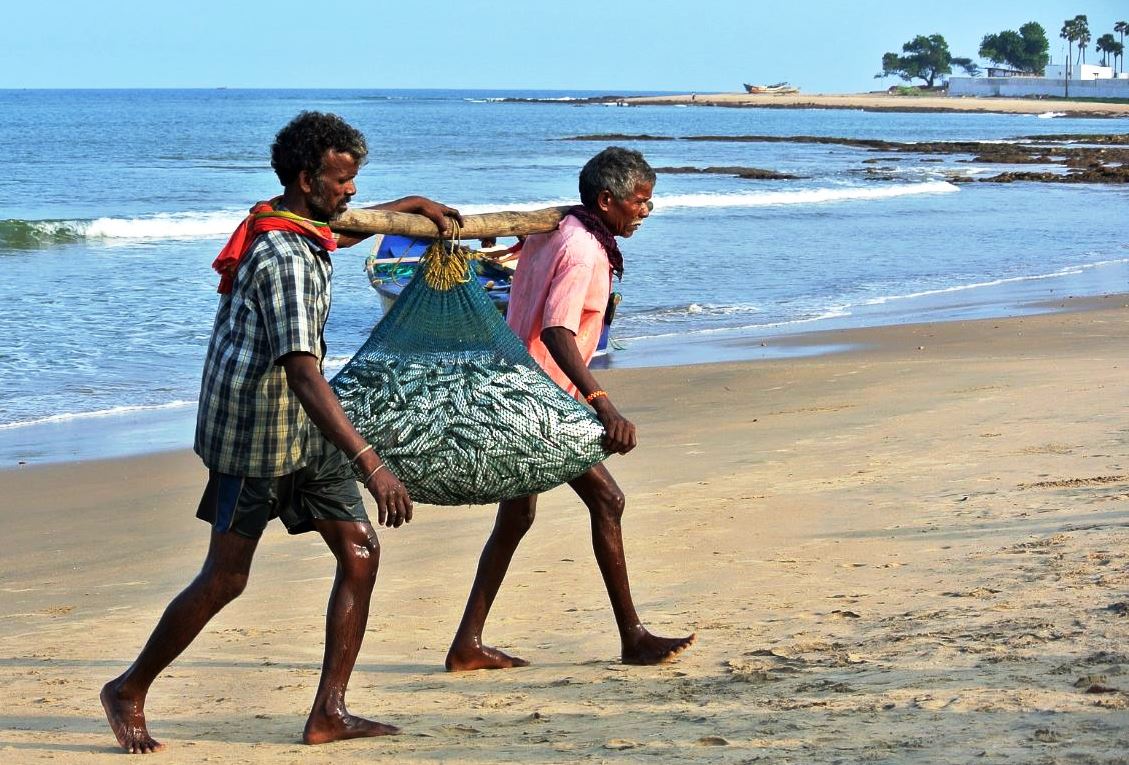 fishers with full nets